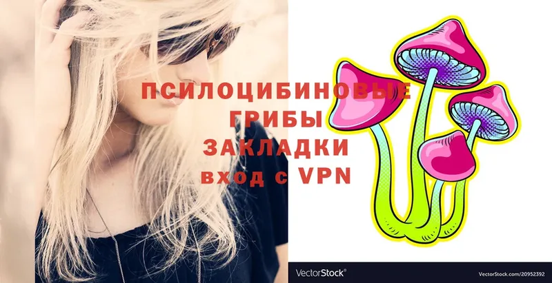 KRAKEN   Горняк  Галлюциногенные грибы Psilocybe 